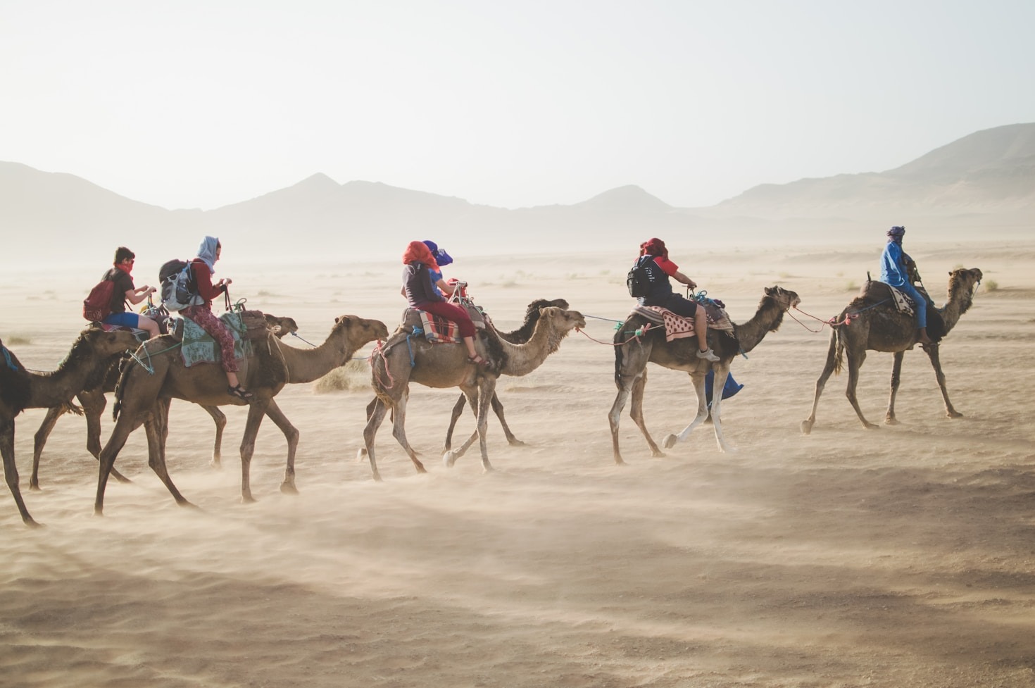 Planning the Perfect Adventure with We Tour